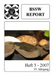 Titelseite BSSW-Report 3-2007